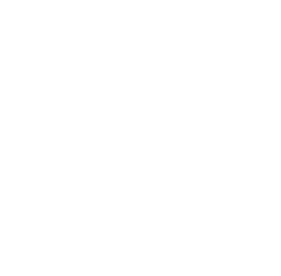 Logo Icon